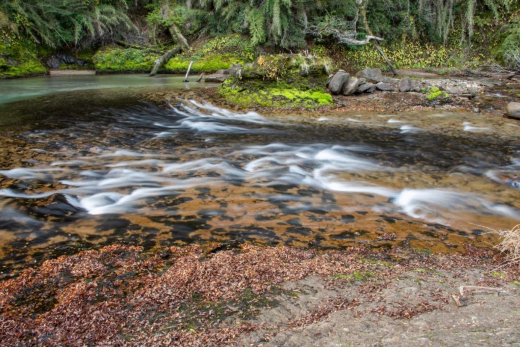Cascada Ñivinco , vamino 7 Lagos