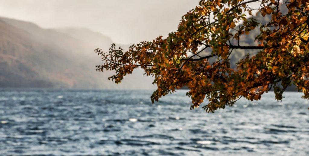 Otoño en la Patagonia