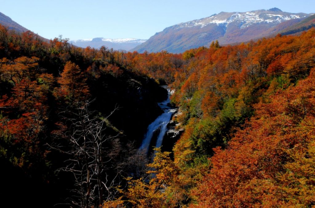 Otoño en la Patagonia