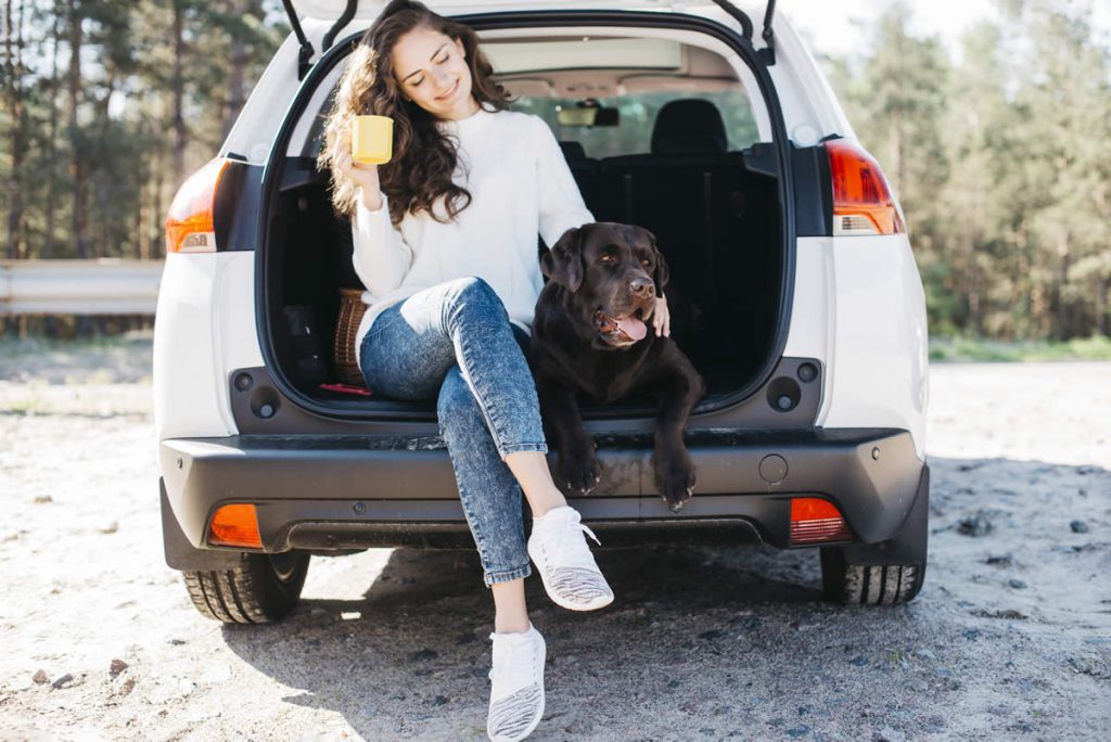 Consejos para viajar con mascotas