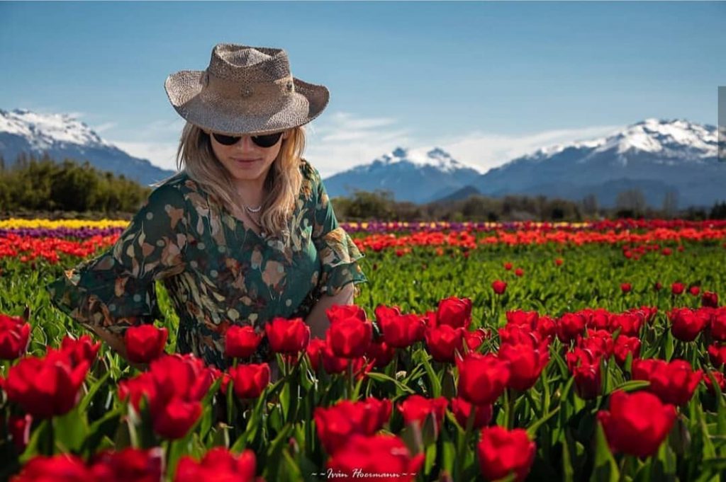 Tulipanes en Trevelin