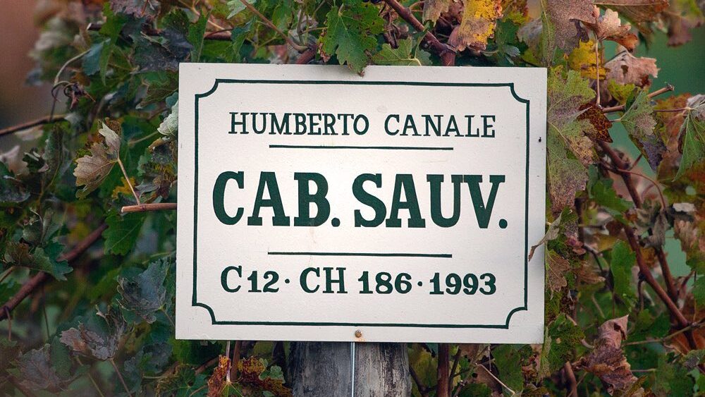 Bodega Humberto Canale
