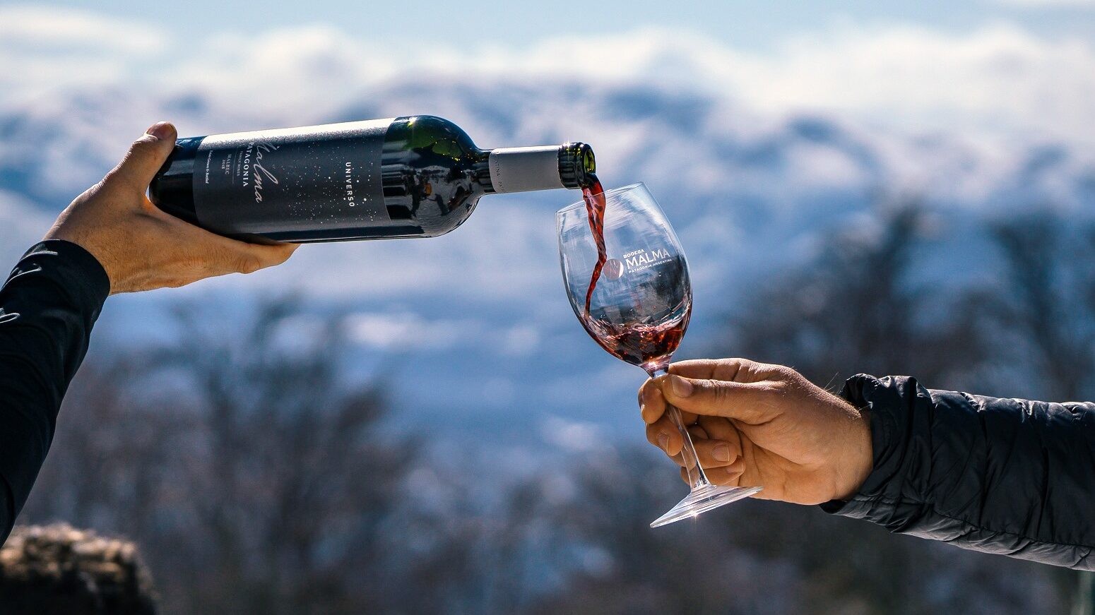Bodega Malma