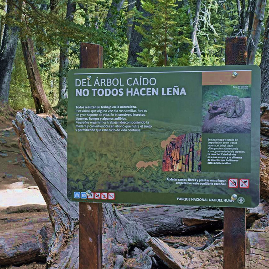 Dejar intacto todo lo que se encuentre
