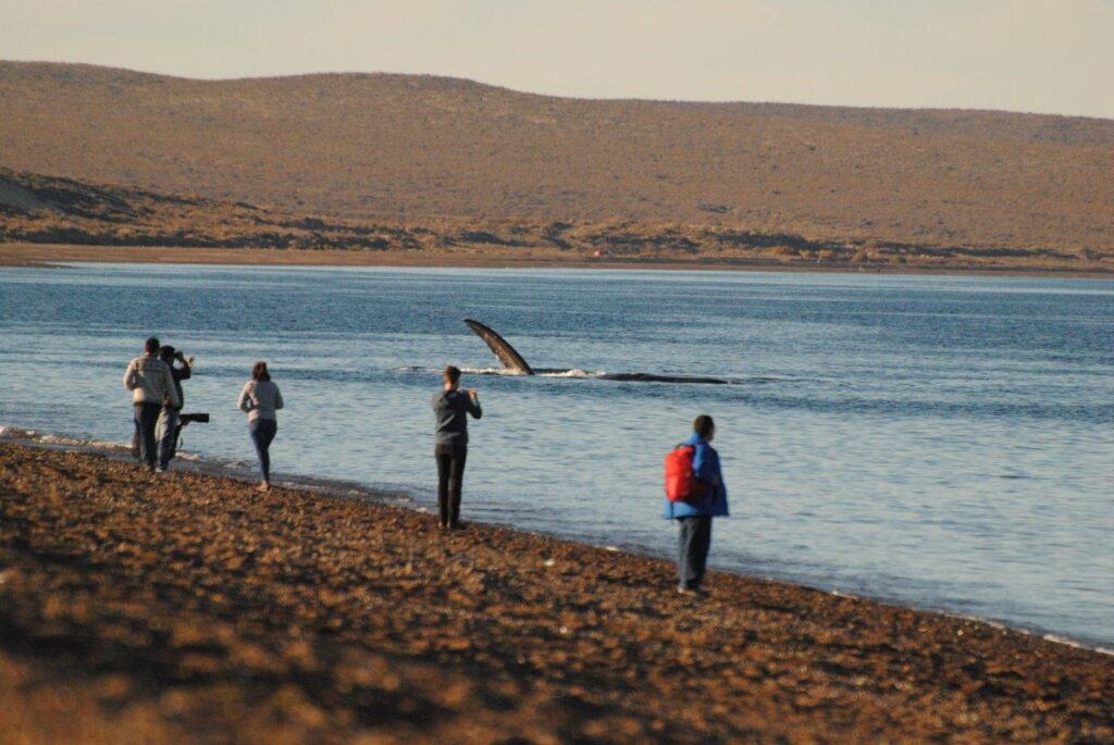 El Doradillo, Puerto Madryn